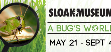 Summer '16 - A Bug's World at Sloan Museum